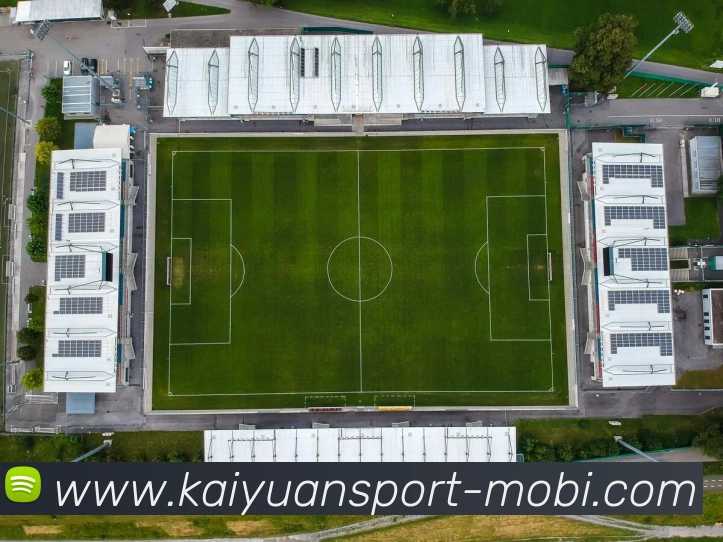 开元体育平台生态图